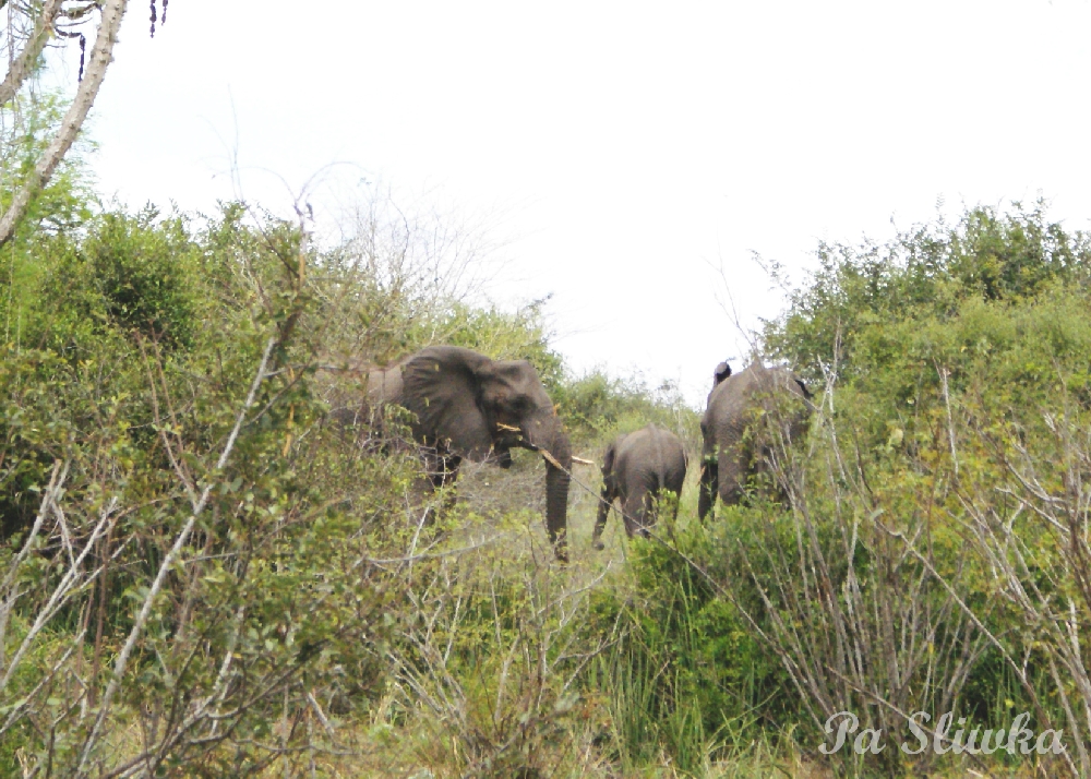 Quiçama National Park